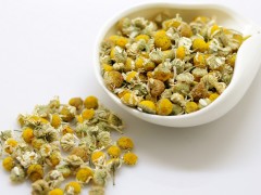 德國洋甘菊花草茶批發 產地貨源