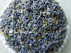 薰衣草花草茶批發